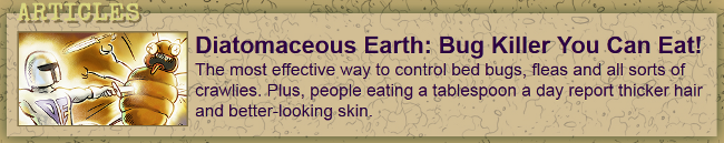 diatomaceous earth