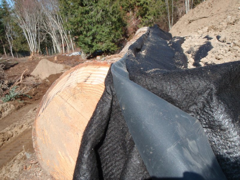 Sepp Holzer root cellar sepp_root_cellar_4_small.jpg
