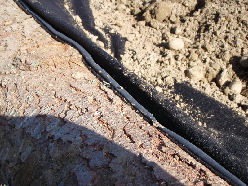 Sepp Holzer root cellar sepp_root_cellar_6_small.jpg