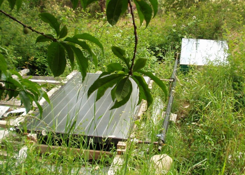 bullock#39;s permaculture