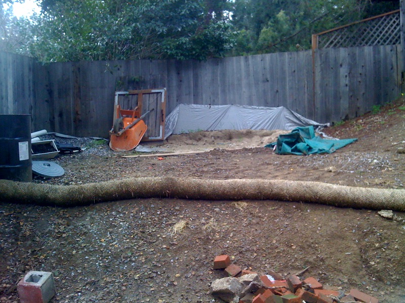 hugelkultur backyard.jpg