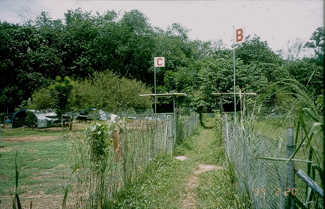 chicken coops/runs/tractors/paddocks/pens/etc. paddockWebSize.jpg