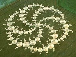 Organic Straw, Rye&HRwheat,500bales, $5-7,Snohomish 250px-Crop_circles_Swirl.jpg