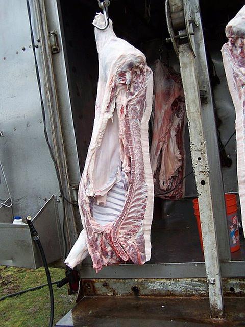 [Thumbnail for half-pork.jpg]