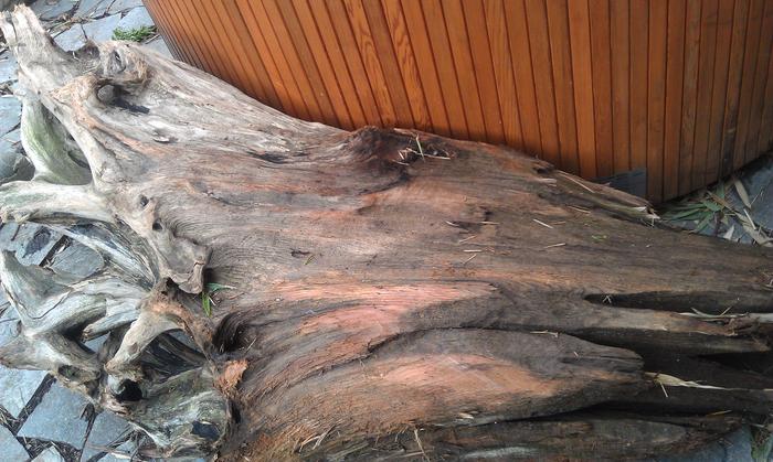 [Thumbnail for IMAG0820.jpg]