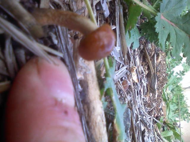 [Thumbnail for 0228121330a.jpg]