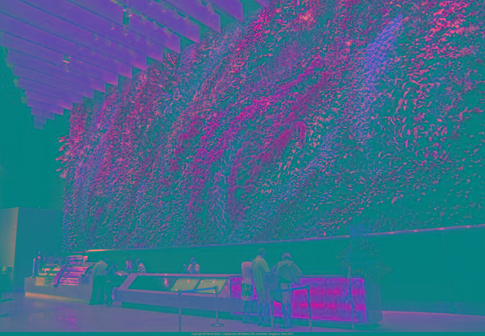[Thumbnail for wall-moss-art.png]
