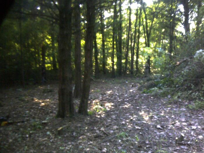 [Thumbnail for IMG-20120417-00659.jpg]