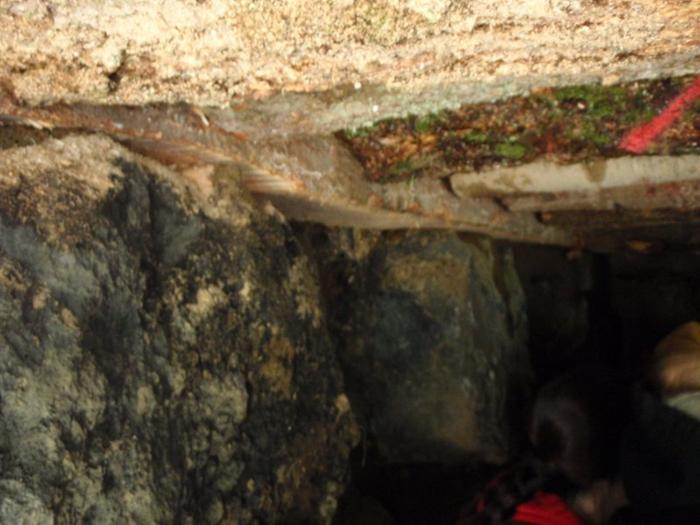 [Thumbnail for sepp_root_cellar_8_small.jpg]