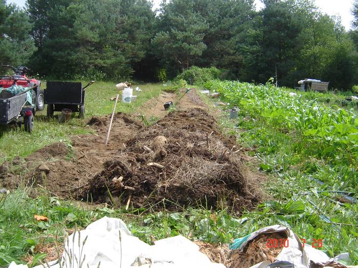 Filename: hugelkultur-manure.jpg
Description: The horse manure (with hay mixed in) went on next. We put a layer about 4-6 inches thick. The horse manure (with hay mixed in) went on next. We put a layer about 4-6 inches thick.