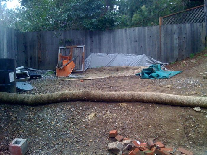 [Thumbnail for backyard.jpg]