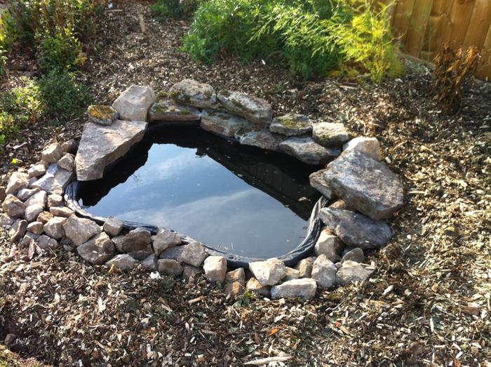 Empty Preformed Pond for Winter? (ponds forum at permies)