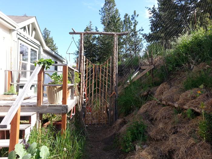 Filename: New-gate-and-house-with-lamb-s-quarters-on-the-rail-from-Arakis-berms.jpg
Description: New gate and house with lamb's quarters on the rail from Arakis berms New gate and house with lamb's quarters on the rail from Arakis berms