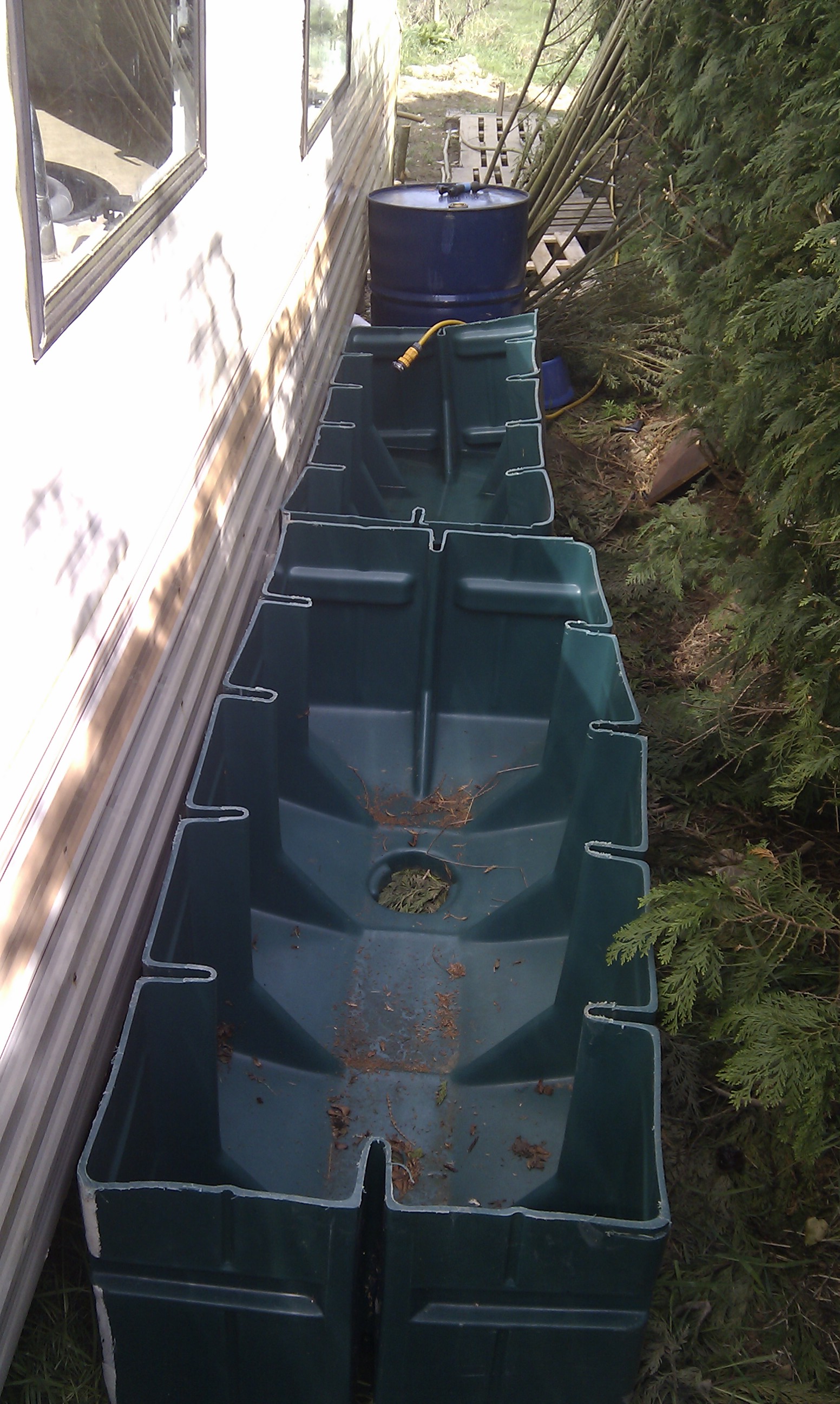 reed bed grey water system (grey water forum at permies)