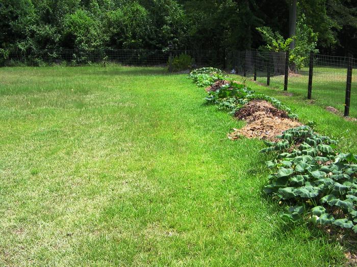 [Thumbnail for hugel_lawn.JPG]