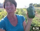 conservation farming in missoula