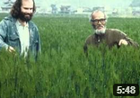 permaculture fukuoka