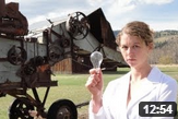 permaculture light bulbs