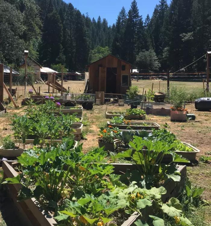 Building Tribe~ Artist Farm Steward Rural Wilderness Living (shasta ...