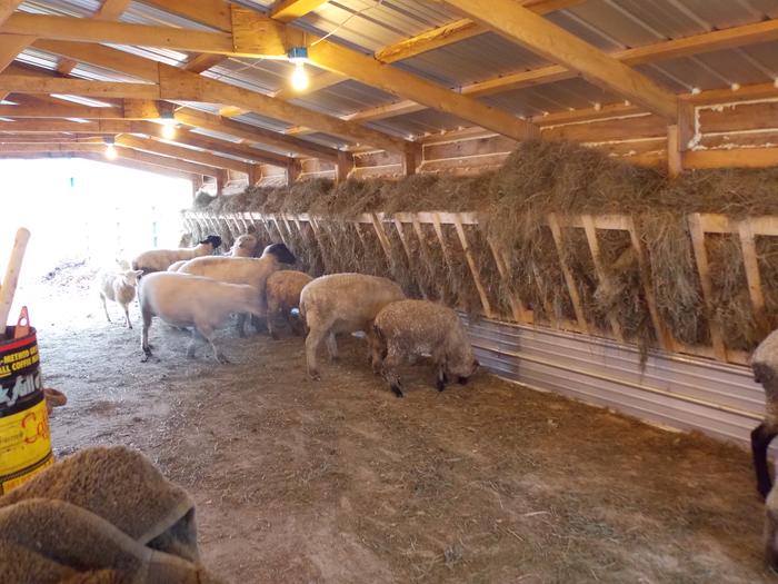 [Thumbnail for DSCN3768.JPG]