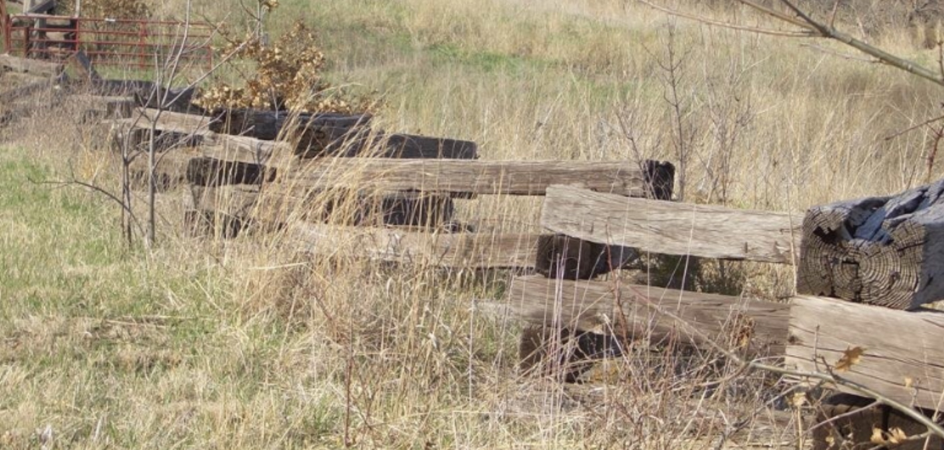 How to keep cows out without fence ? (gear forum at permies)